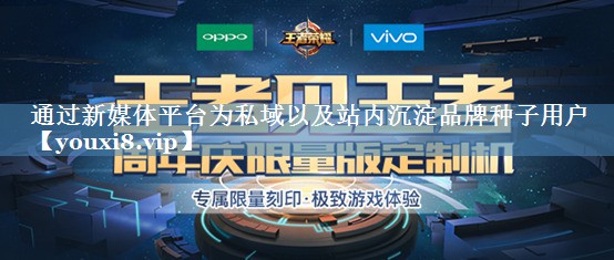 通過新媒體平臺為私域以及站內(nèi)沉淀品牌種子用戶