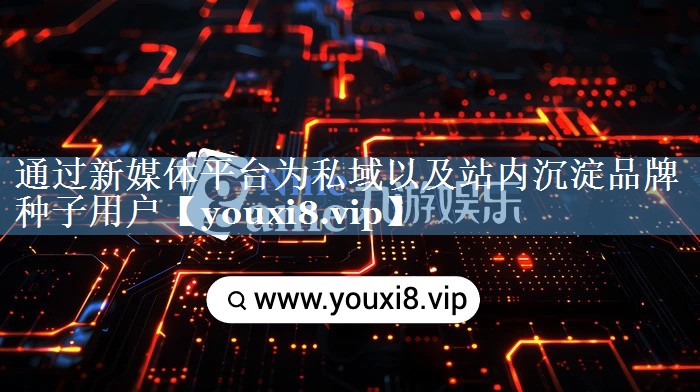 通過新媒體平臺為私域以及站內(nèi)沉淀品牌種子用戶