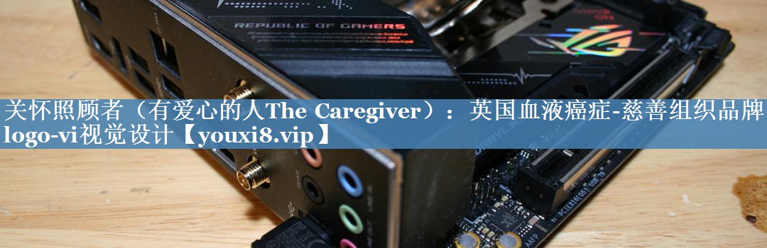 關(guān)懷照顧者（有愛心的人The Caregiver）：英國(guó)血液癌癥-慈善組織品牌logo-vi視覺設(shè)計(jì)