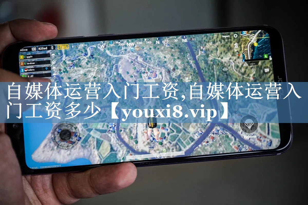 自媒體運(yùn)營入門工資,自媒體運(yùn)營入門工資多少