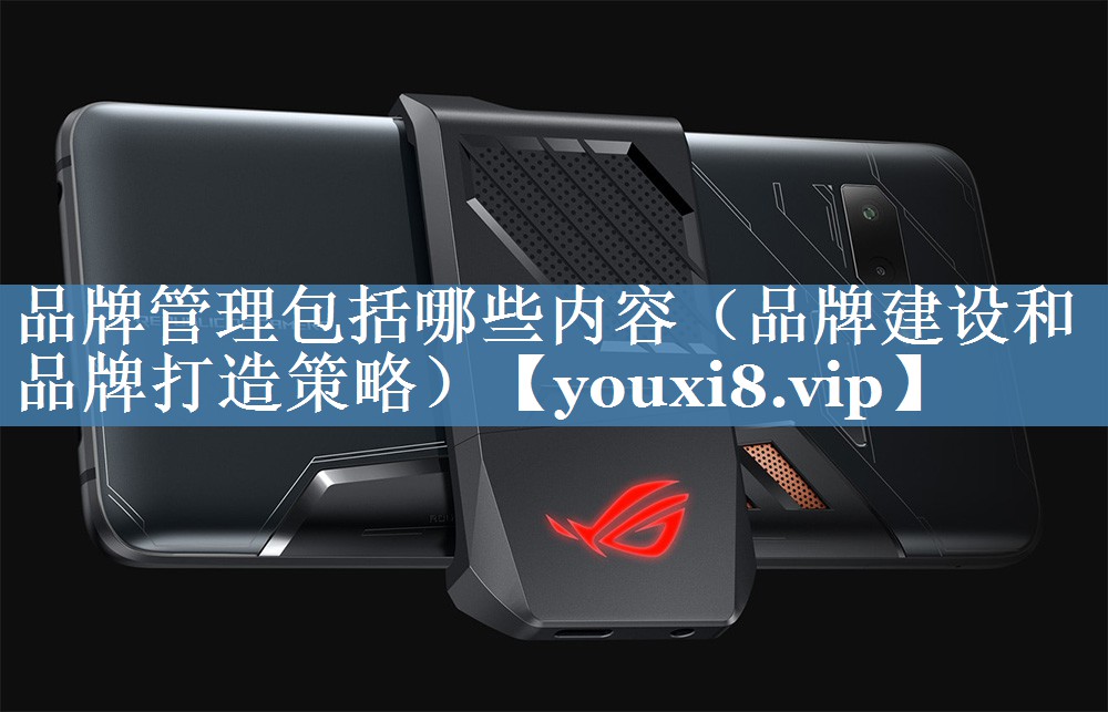 品牌管理包括哪些內(nèi)容（品牌建設(shè)和品牌打造策略）