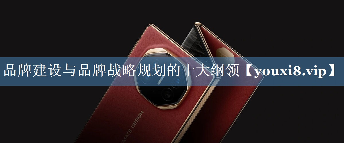 品牌建設(shè)與品牌戰(zhàn)略規(guī)劃的十大綱領(lǐng)