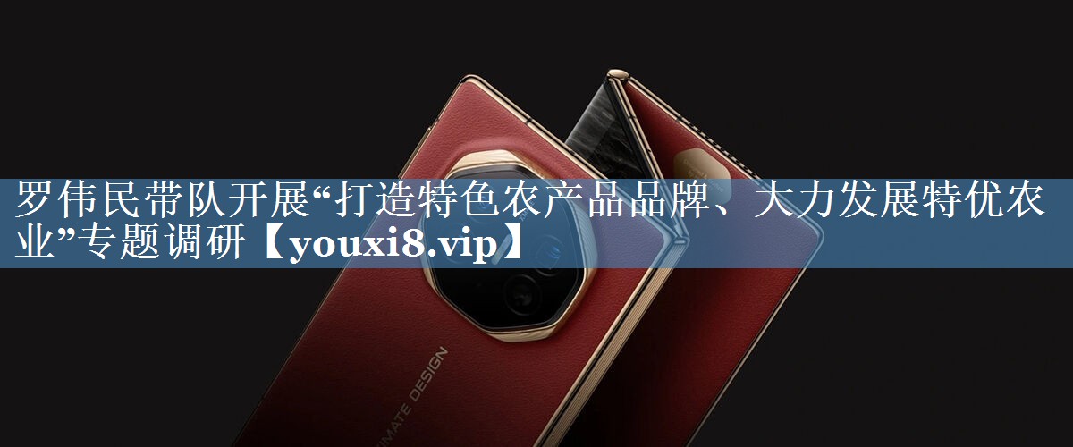 羅偉民帶隊(duì)開展“打造特色農(nóng)產(chǎn)品品牌、大力發(fā)展特優(yōu)農(nóng)業(yè)”專題調(diào)研