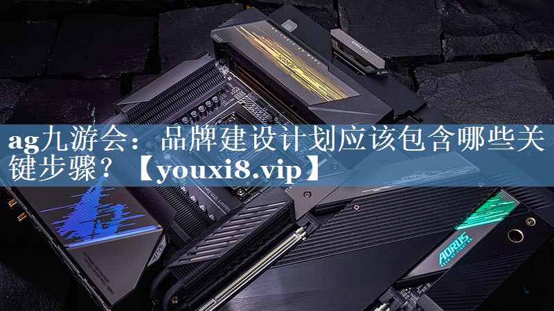 品牌建設(shè)計(jì)劃應(yīng)該包含哪些關(guān)鍵步驟？