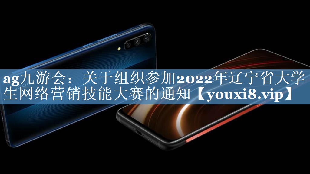 關(guān)于組織參加2022年遼寧省大學(xué)生網(wǎng)絡(luò)營(yíng)銷技能大賽的通知