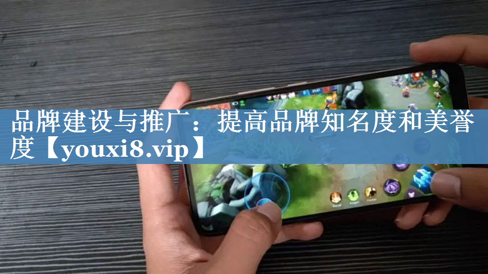 品牌建設(shè)與推廣：提高品牌知名度和美譽(yù)度
